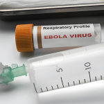 Ebola in Congo, oltre 3.600 casi: epidemia in cinque province